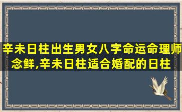 辛未日柱出生男女八字命运命理师念鲜,辛未日柱适合婚配的日柱 🦋